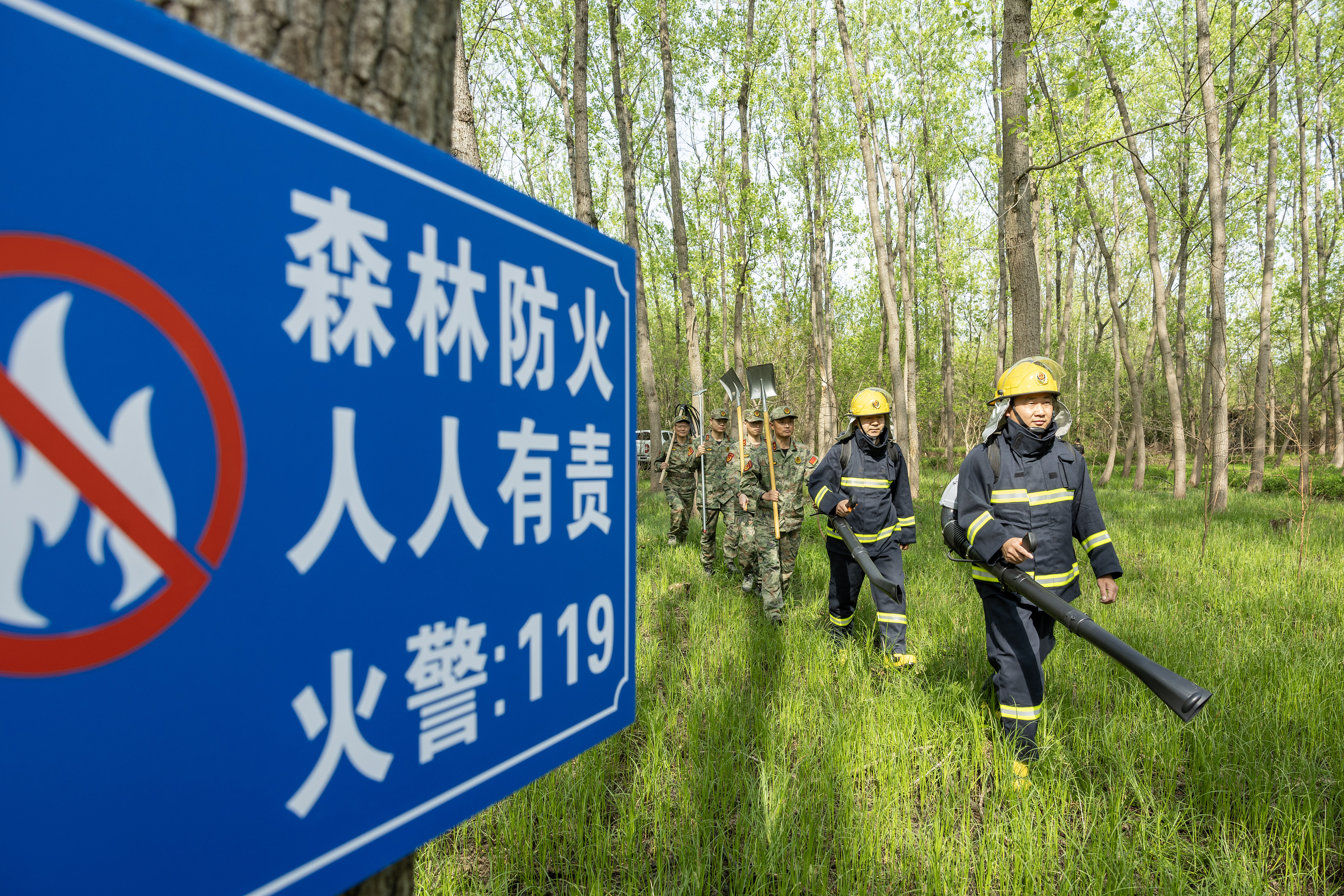 2024年4月9日，合肥市大房郢水庫水源保護地廬陽經(jīng)濟開發(fā)區(qū)段，基干民兵正在林間巡查火災(zāi)隱患。