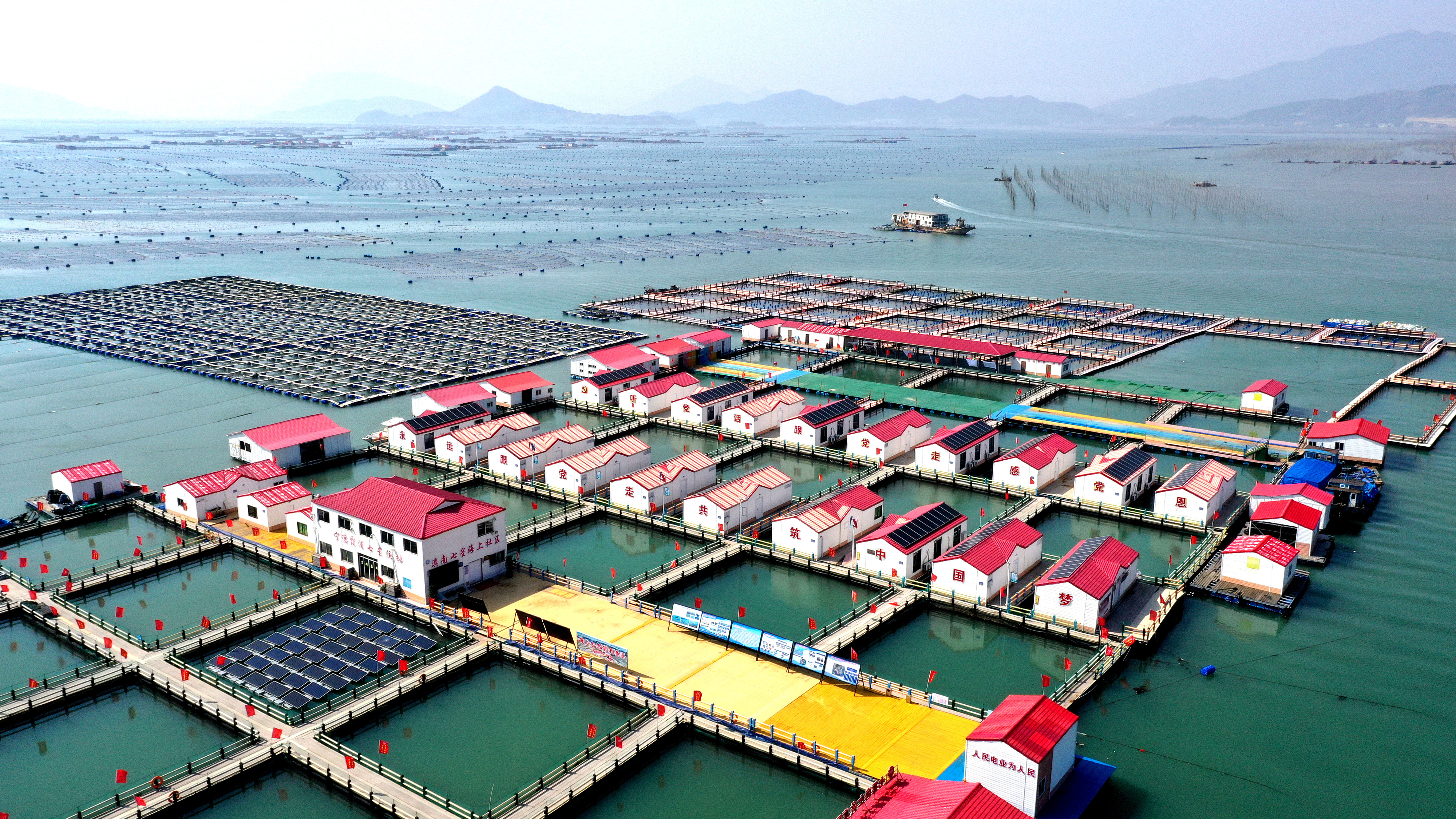 2024年3月20日，福建省寧德市，霞浦縣溪南鎮(zhèn)七星村漁排養(yǎng)殖示范區(qū)，漁民駕駛養(yǎng)殖船進(jìn)行海參養(yǎng)殖作業(yè)。